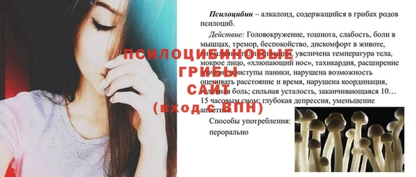 spice Гусь-Хрустальный