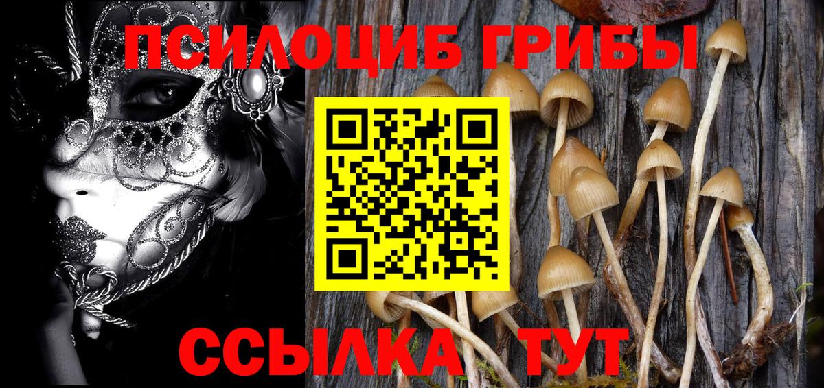Галлюциногенные грибы мухоморы  Вход с VPN  Ефремов  Галлюциногенные грибы GOLDEN TEACHER 
