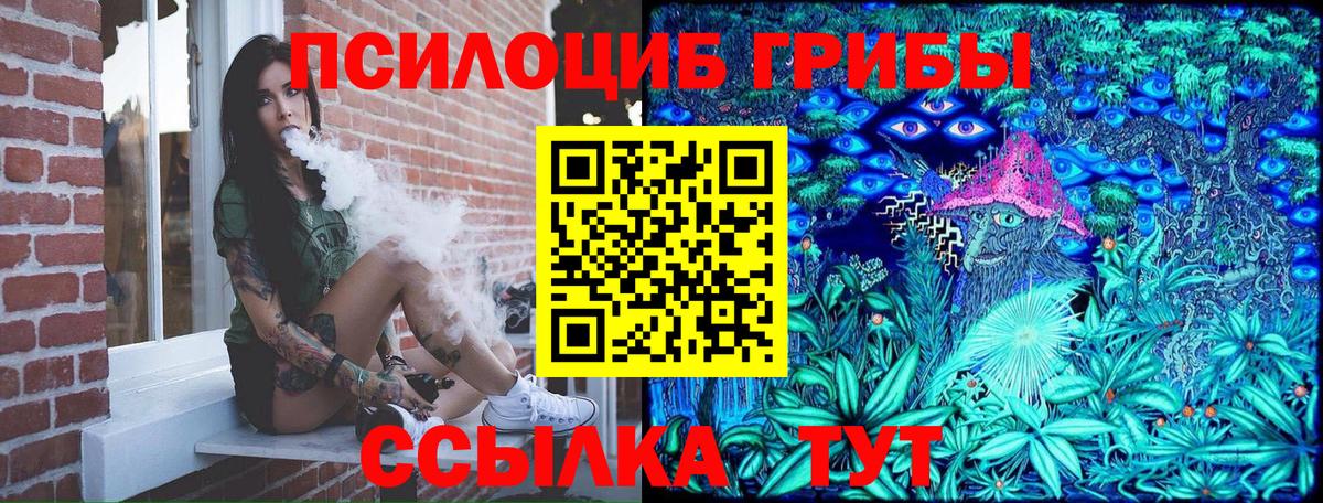 Псилоцибиновые грибы GOLDEN TEACHER Ефремов
