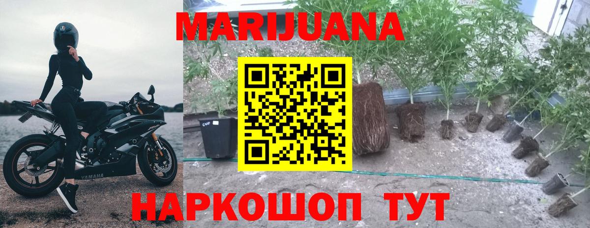 МАРИХУАНА SATIVA & INDICA Ефремов